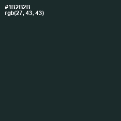 #1B2B2B - Timber Green Color Image