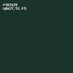 #1B3429 - Timber Green Color Image