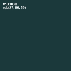 #1B383B - Gable Green Color Image