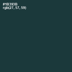 #1B393B - Gable Green Color Image