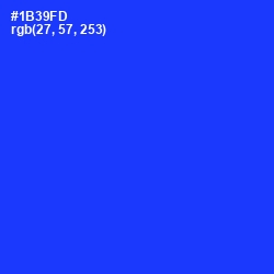 #1B39FD - Blue Color Image