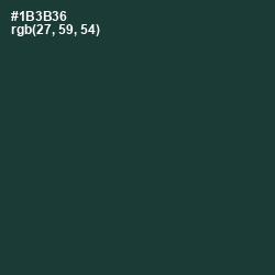 #1B3B36 - Gable Green Color Image