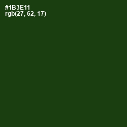 #1B3E11 - Palm Leaf Color Image