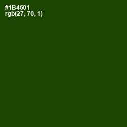 #1B4601 - Dark Fern Color Image