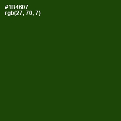 #1B4607 - Dark Fern Color Image