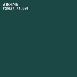 #1B4745 - Eden Color Image