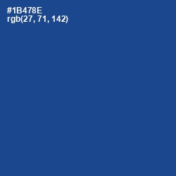 #1B478E - Congress Blue Color Image
