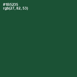 #1B5235 - Te Papa Green Color Image