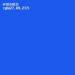 #1B59ED - Blue Ribbon Color Image