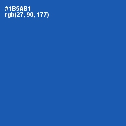 #1B5AB1 - Fun Blue Color Image