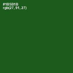 #1B5B1B - Parsley Color Image