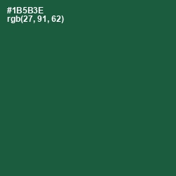 #1B5B3E - Te Papa Green Color Image