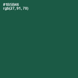 #1B5B46 - Eden Color Image