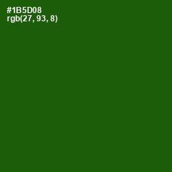 #1B5D08 - Parsley Color Image