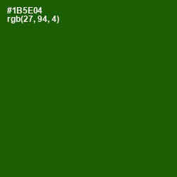 #1B5E04 - Parsley Color Image