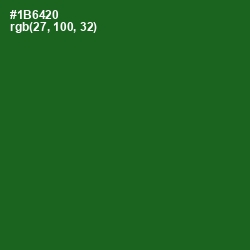 #1B6420 - Fun Green Color Image