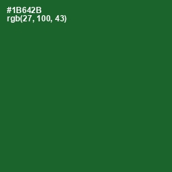 #1B642B - Fun Green Color Image