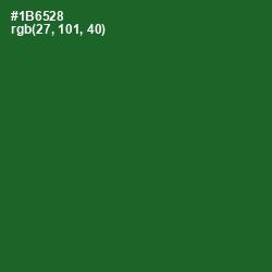 #1B6528 - Fun Green Color Image