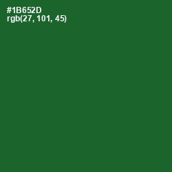 #1B652D - Fun Green Color Image