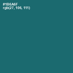 #1B6A6F - Genoa Color Image