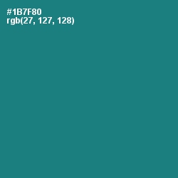 #1B7F80 - Blue Lagoon Color Image