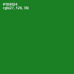 #1B8024 - Forest Green Color Image