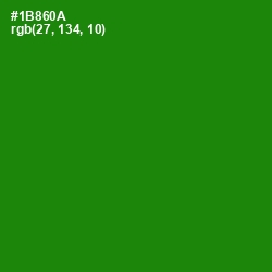 #1B860A - Forest Green Color Image