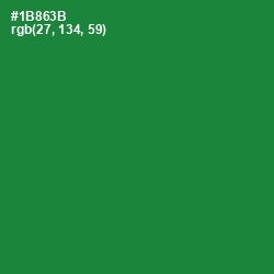 #1B863B - Forest Green Color Image