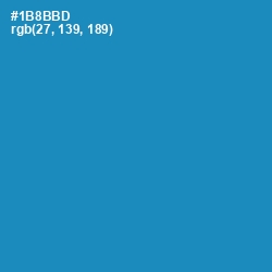 #1B8BBD - Eastern Blue Color Image