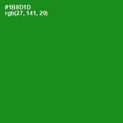 #1B8D1D - Forest Green Color Image