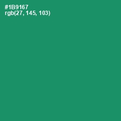 #1B9167 - Elf Green Color Image