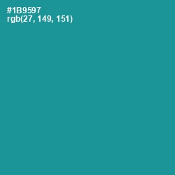 #1B9597 - Blue Chill Color Image