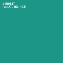 #1B9687 - Blue Chill Color Image