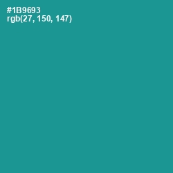 #1B9693 - Blue Chill Color Image