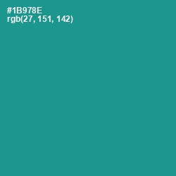 #1B978E - Blue Chill Color Image