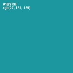 #1B979F - Blue Chill Color Image