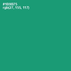 #1B9B75 - Elf Green Color Image