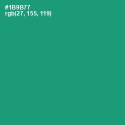 #1B9B77 - Elf Green Color Image