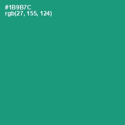 #1B9B7C - Elf Green Color Image