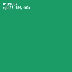 #1B9C67 - Elf Green Color Image
