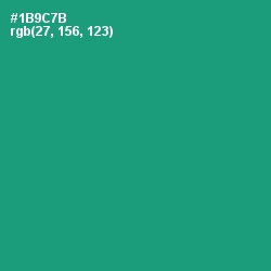 #1B9C7B - Elf Green Color Image