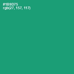 #1B9D75 - Elf Green Color Image