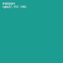 #1B9D91 - Blue Chill Color Image
