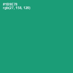 #1B9E78 - Elf Green Color Image