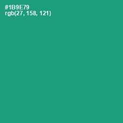#1B9E79 - Elf Green Color Image