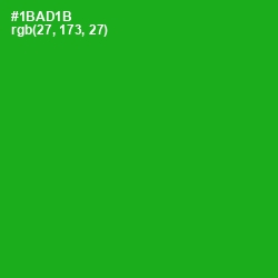 #1BAD1B - Forest Green Color Image