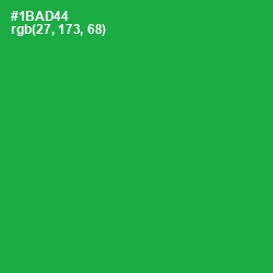 #1BAD44 - Sea Green Color Image