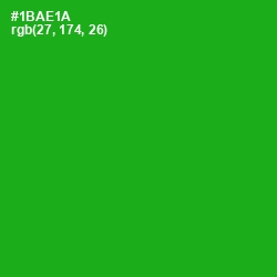 #1BAE1A - Forest Green Color Image