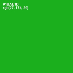 #1BAE1D - Forest Green Color Image