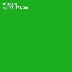 #1BAE1E - Forest Green Color Image